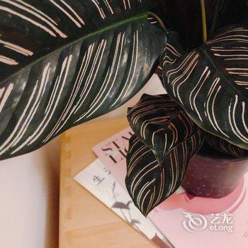 重庆廖矜持啊公寓酒店提供图片