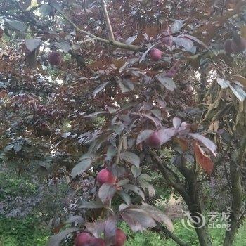 青岛小清民宿酒店提供图片