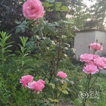青岛小清民宿酒店提供图片