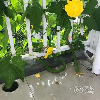 北京三月特色民宿酒店提供图片
