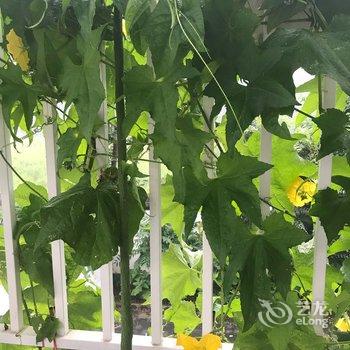 北京三月特色民宿酒店提供图片