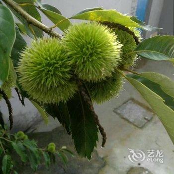 WE·爱主题民宿(北京楼阁店)酒店提供图片