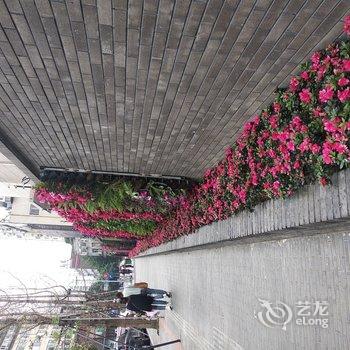 成都宽窄巷子食客居公寓酒店提供图片