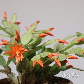 WE·爱主题民宿(北京楼阁店)酒店提供图片