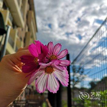 猫与玫瑰公寓(北京令公街店)酒店提供图片