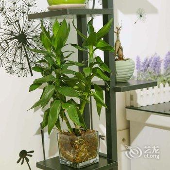 重庆花憩园客栈(童家桥正街分店)酒店提供图片