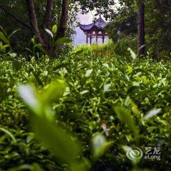 花筑奢·泰宁状元茗舍民宿(大金湖景区店)酒店提供图片