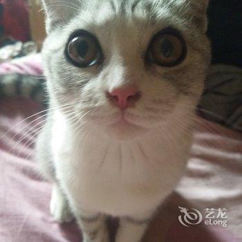 有你就好民宿(北京撞道口村店)酒店提供图片