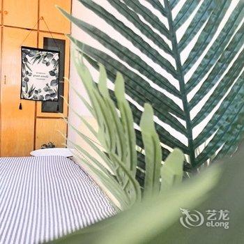 青岛小杉杉公寓酒店提供图片