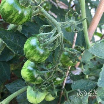青岛山海相恋公寓酒店提供图片