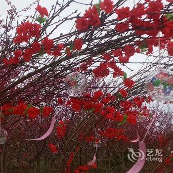 重庆美樱花海云栖酒店酒店提供图片