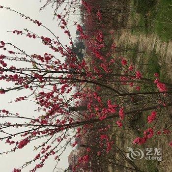 重庆美樱花海云栖酒店酒店提供图片