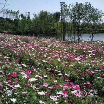重庆美樱花海云栖酒店酒店提供图片