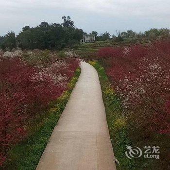 重庆美樱花海云栖酒店酒店提供图片