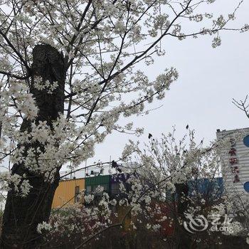 重庆美樱花海云栖酒店酒店提供图片