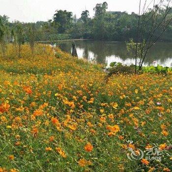 重庆美樱花海云栖酒店酒店提供图片