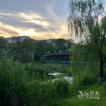 重庆南山一棵树陶苑特色民宿酒店提供图片