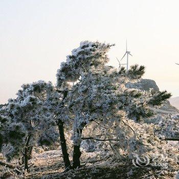 花筑·临海括苍山云顶山庄酒店提供图片