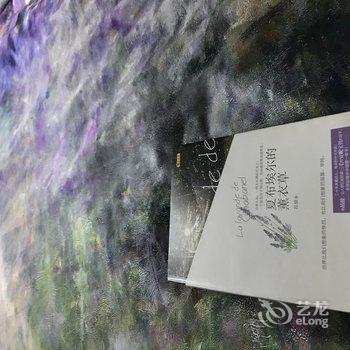 广州薰衣草之家(广州汉溪长隆地铁站奥园店)酒店提供图片