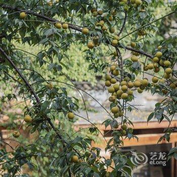 腾冲云舍小院精品客栈酒店提供图片