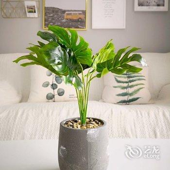 成都熊猫有空公寓酒店提供图片