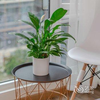 成都成都爱上熊猫民宿(黄河中路二段分店)酒店提供图片