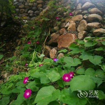 WE·爱主题民宿(北京楼阁店)酒店提供图片
