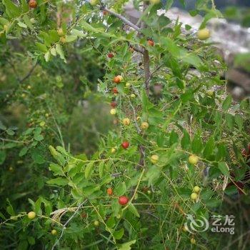 WE·爱主题民宿(北京楼阁店)酒店提供图片