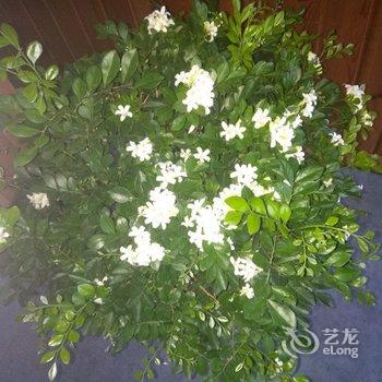 WE·爱主题民宿(北京楼阁店)酒店提供图片