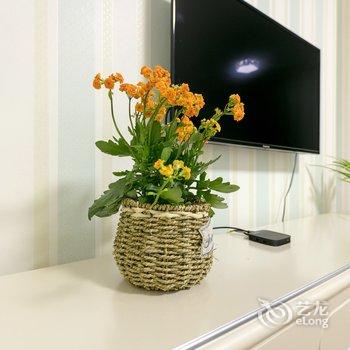 成都Smile之家公寓(大象分店)酒店提供图片