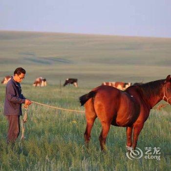 呼伦贝尔牧居原上蒙古包营地酒店提供图片