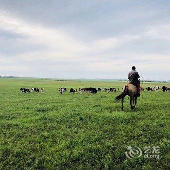 呼伦贝尔牧居原上蒙古包营地酒店提供图片