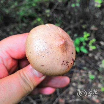 北京好亲戚民俗农家乐酒店提供图片