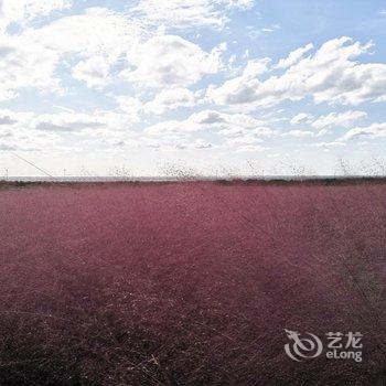 长岛芒果墅民宿酒店提供图片