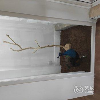 西安皇城根民宿酒店提供图片