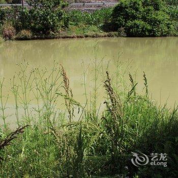 红山堂茶庄酒店提供图片