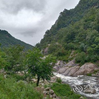 鲁山龙丰园饭庄酒店提供图片