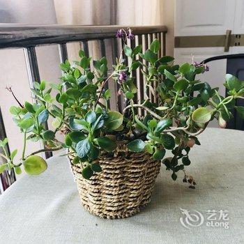 郑州雅宁小居公寓酒店提供图片