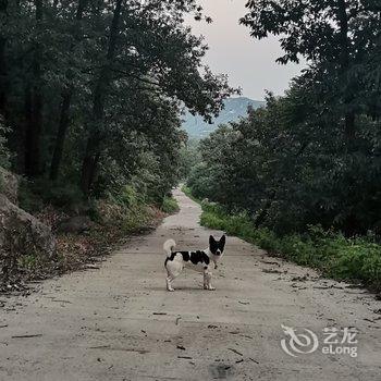 北京暖山居小院酒店提供图片