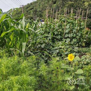 北京暖山居小院酒店提供图片