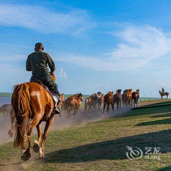 陈巴尔虎白音盟古乐蒙古包营地酒店提供图片