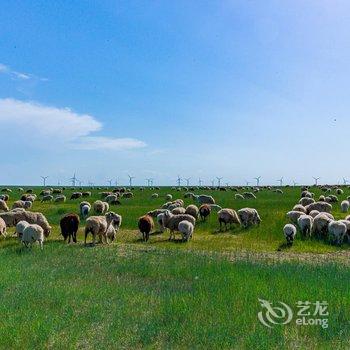 陈巴尔虎白音盟古乐蒙古包营地酒店提供图片