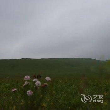 克什克腾旗乌兰布统苏木大漠绿都驿站酒店提供图片