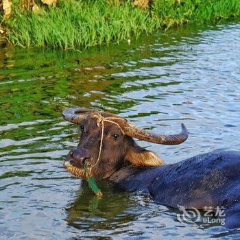 岱山伴海良舍民宿酒店提供图片