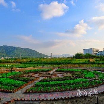 岱山伴海良舍民宿酒店提供图片