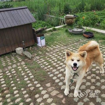 岱山伴海良舍民宿酒店提供图片