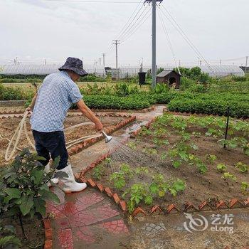 岱山伴海良舍民宿酒店提供图片