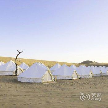 沙坡头星月国际露营基地酒店提供图片