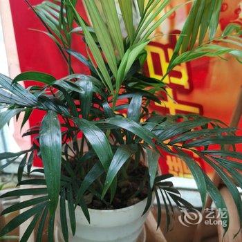 江门丹丽宾馆酒店提供图片