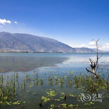 大理望苍山·古城肆年伴月花园美宿酒店提供图片